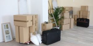 Regional and local Gold Coast Removals