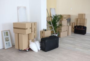 Carrara Removals service