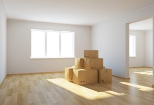 Removalist Carrara
